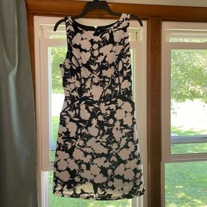 The Limited dress size 2, black with white floral print